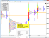 TPChart MarketProfile NinjaTrader chart right click menu options specific to TPOChart